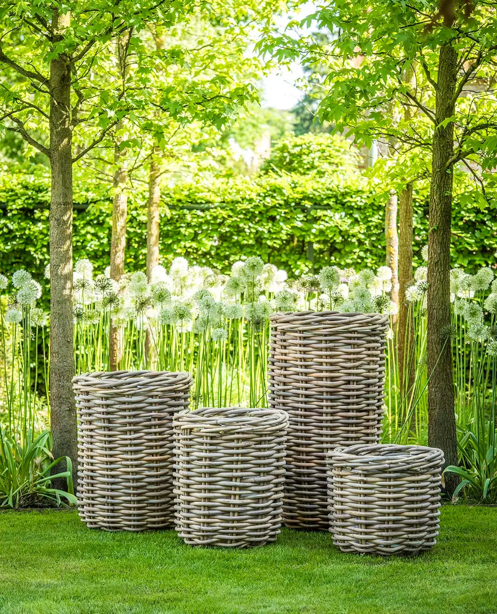 Planter Basket Julia van Gommaire
