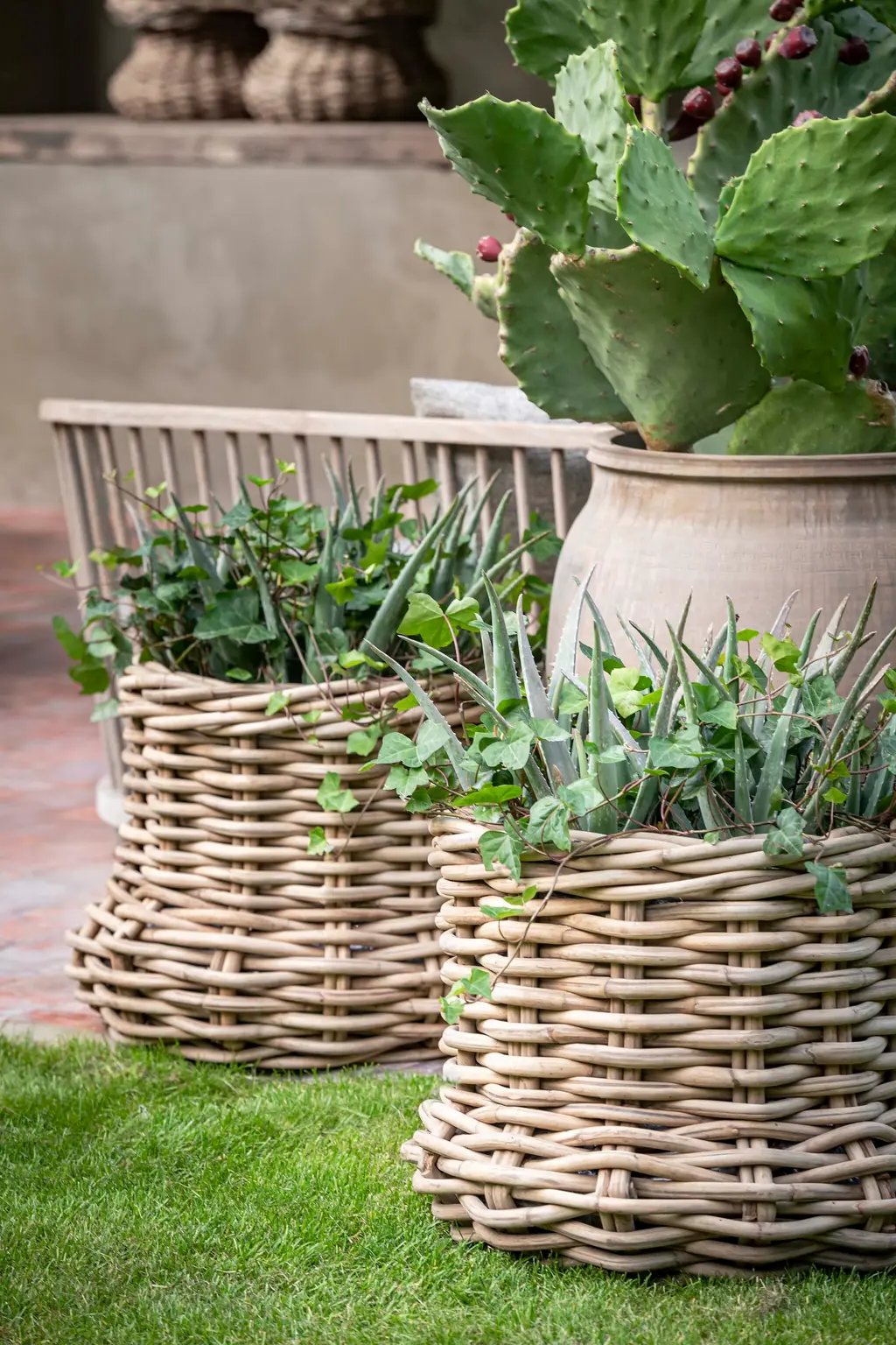 Planter Basket Julia van Gommaire