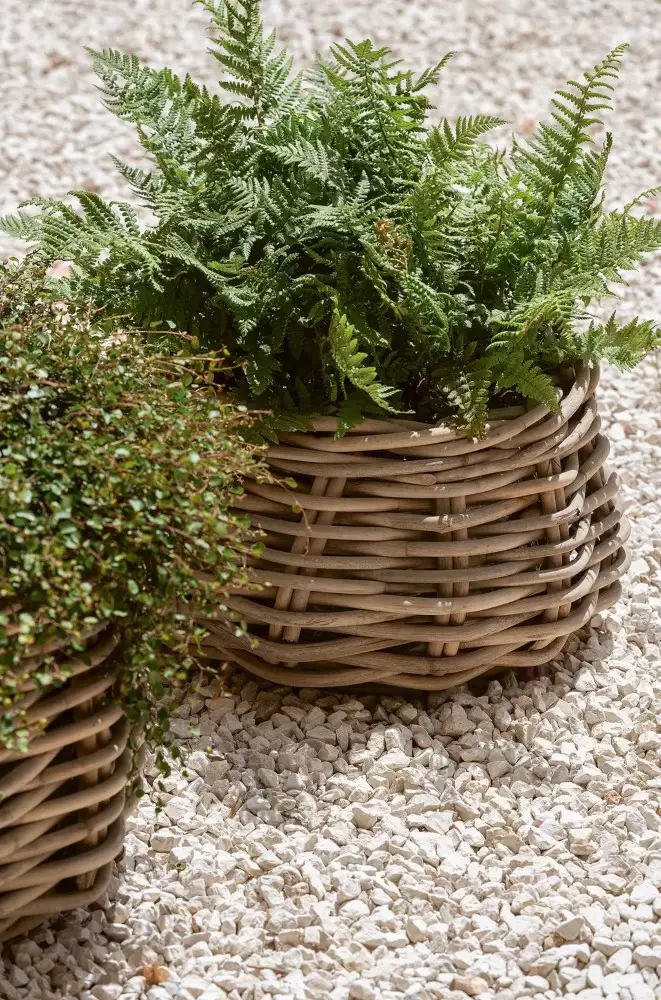 Planter Basket Eric van Gommaire