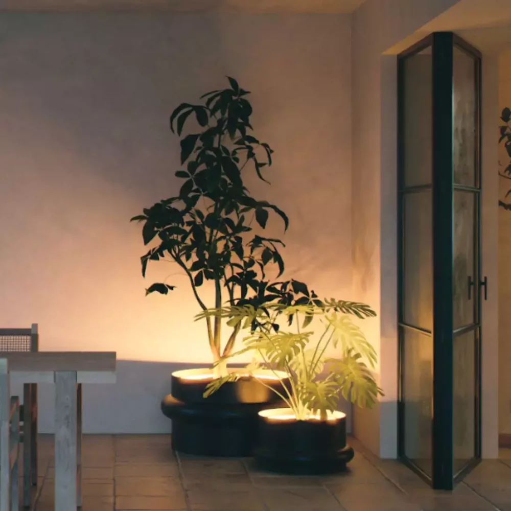 Nautilus Gepoedercoat